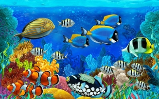 кораллы, море, морское дно, рыбы