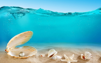 море, океан, ракушки, underwater, sand, ocean, seashells, песок, дно